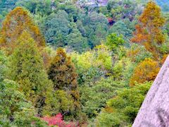 -太姥山风景名胜区