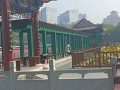 -莲花池公园