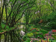 -上海共青森林公园