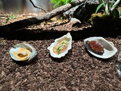 -曲廊院(东四十一条店)