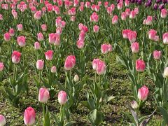 -长春公园(普阳街道)