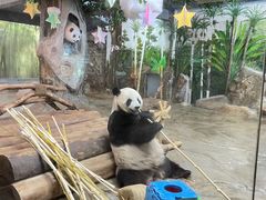 -海南热带野生动植物园