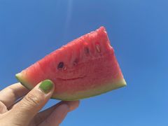 -庞各庄西瓜蔬菜采摘园·锦华瓜园