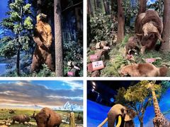 -陕西自然博物馆