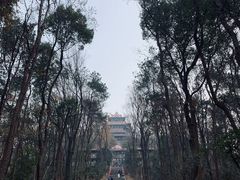 -东湖磨山景区
