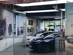 -TESLA 特斯拉(郑州正弘城体验店)