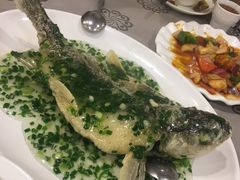 葱油飞鱼-岭南海晏楼(东晓南店)