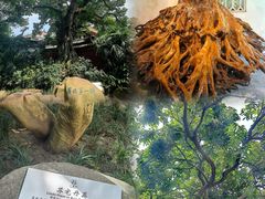 -三苏祠