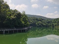 -广州市白云山风景名胜区