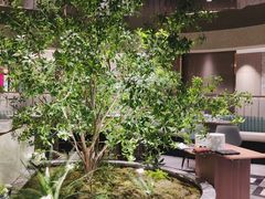 -和苑酒家·一线江景(星寰店)