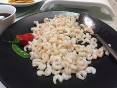 清炒河虾仁-松鹤楼(狮山永利广场店)