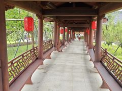 -江心屿景区