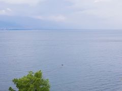 -野菌皇海景野生菌火锅(滨海大道店)