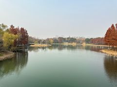 -尚贤河湿地