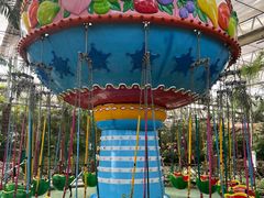 -南宫五洲植物乐园