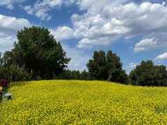 -长白岛森林公园