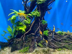 -海合安武汉极地海洋公园
