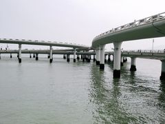 -演武大桥观景平台