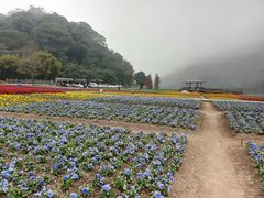 -广州市流溪河国家森林公园