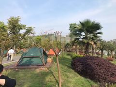 -枫香湖儿童公园