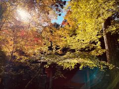 -三千院