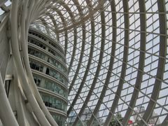 -凤凰中心