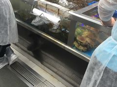 -盒马鲜生(大成店)