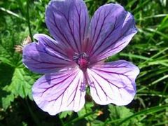 -南京金牛湖风景区