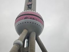 -上海大自然野生昆虫馆(东方明珠·爬宠昆虫探索中心)