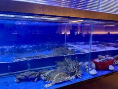 -白仁仔· 活烤海鲜 宵夜(豫园店)