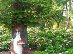 -共青国家森林公园-售票处