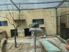 -青藏高原野生动物园