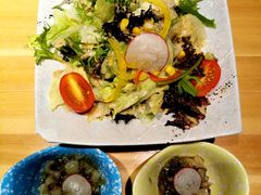 有机洋风色拉-割烹旭日本料理(龙湖狮山天街店)