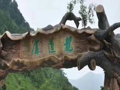 -龙道沟景区