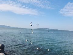 -悦海公园