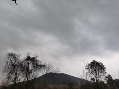 -树山生态村
