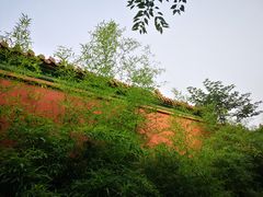 -华西村