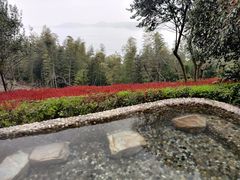 -天目湖涵田半山温泉