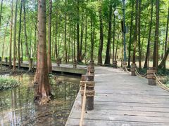 -桤木河湿地公园