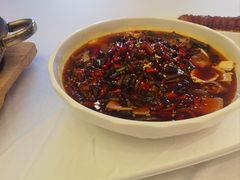 -宏宴·新京菜(望京店)