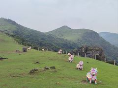 -大姆山草场