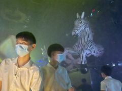 -TT CLUB 酒吧