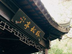 -上海佘山国家森林公园天马山园