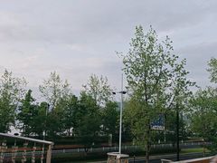 -宝荣鱼馆·临湖之宴(千岛湖店)