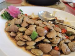 帝皇豆-小竹林农庄