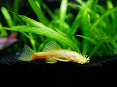 -上海海洋水族馆