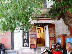 -古树酸奶(八廓南街店)