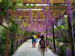 -大平台龙居瀑布旅游区