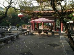 -大唐博相府酒店·陕西官府菜