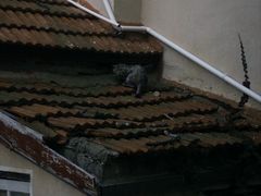 -观象山公园